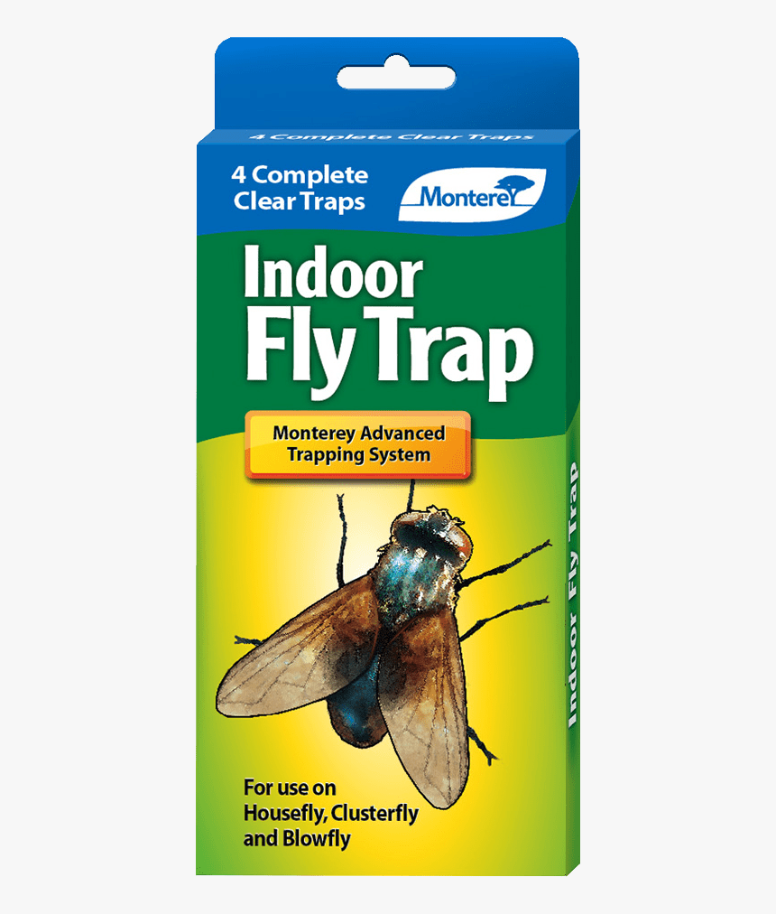 Fruit Fly Traps, HD Png Download, Free Download