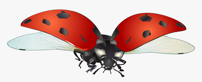 Transparent Leaf Clip Art Png - Ladybug In Flight Png, Png Download, Free Download