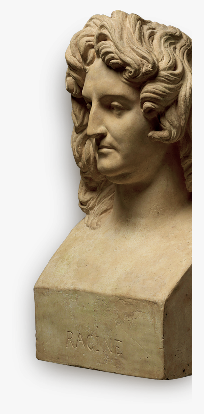 Bust, HD Png Download, Free Download