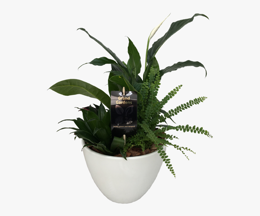 The Peace Lily Planter - Flowerpot, HD Png Download, Free Download