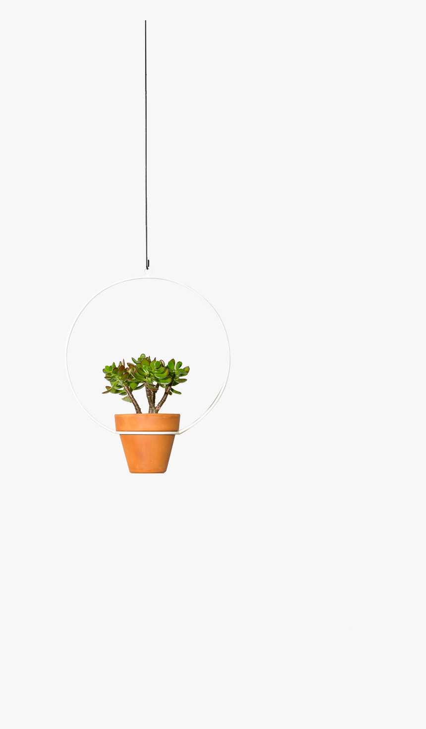 Hanging Circle Planter - Flowerpot, HD Png Download, Free Download