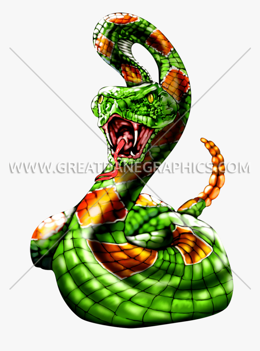 Snake Graphics - Rattlesnake Graphics, HD Png Download, Free Download