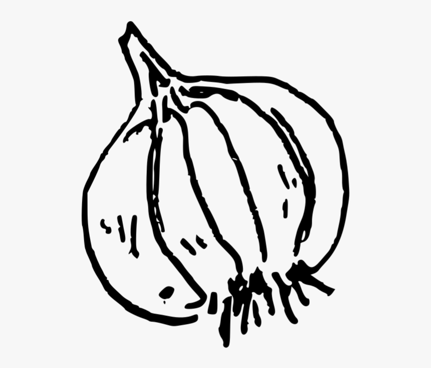 Garlic , Png Download - Garlic Doodle Png, Transparent Png, Free Download