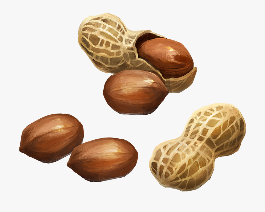 Peanuts - Peanut, HD Png Download, Free Download