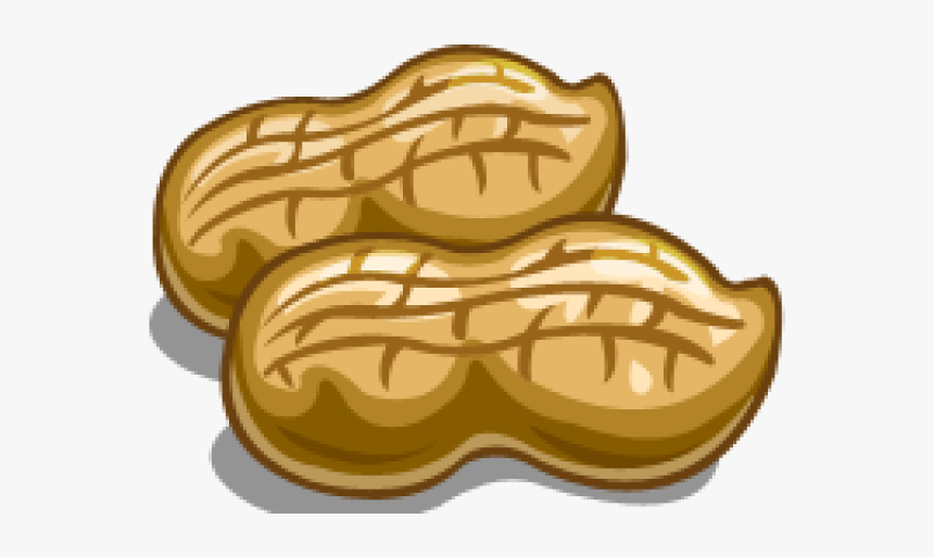 Peanut Png Transparent Images - Clipart Peanut Png, Png Download, Free Download