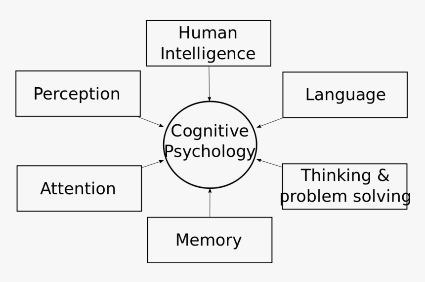 Cognitivepsychology - Svg - Cognitive Psychology, HD Png Download, Free Download