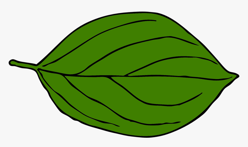 Dark Green Leaf Clipart, HD Png Download, Free Download