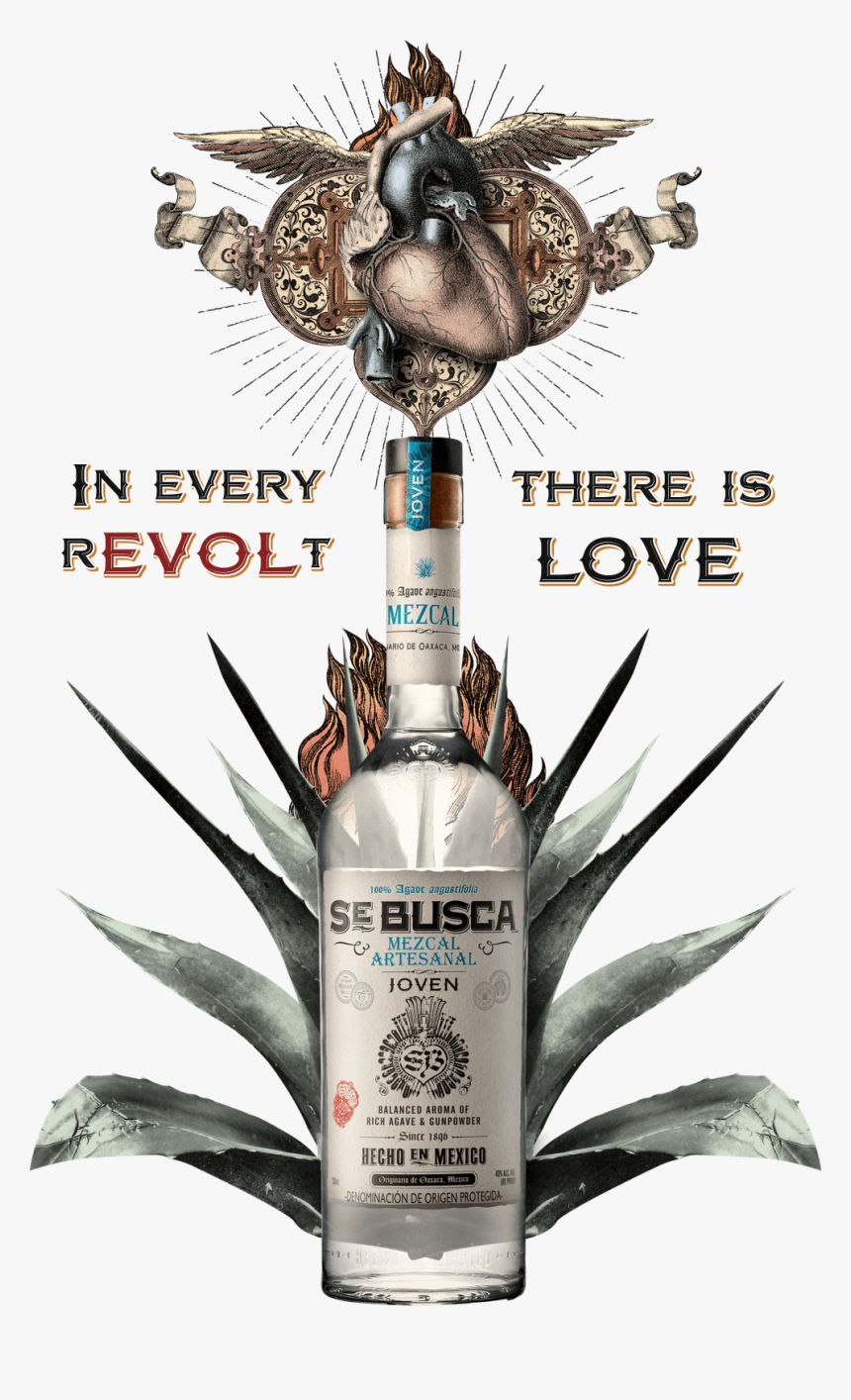 Hero Sebusca Mezcal - Se Busca Mezcal, HD Png Download, Free Download