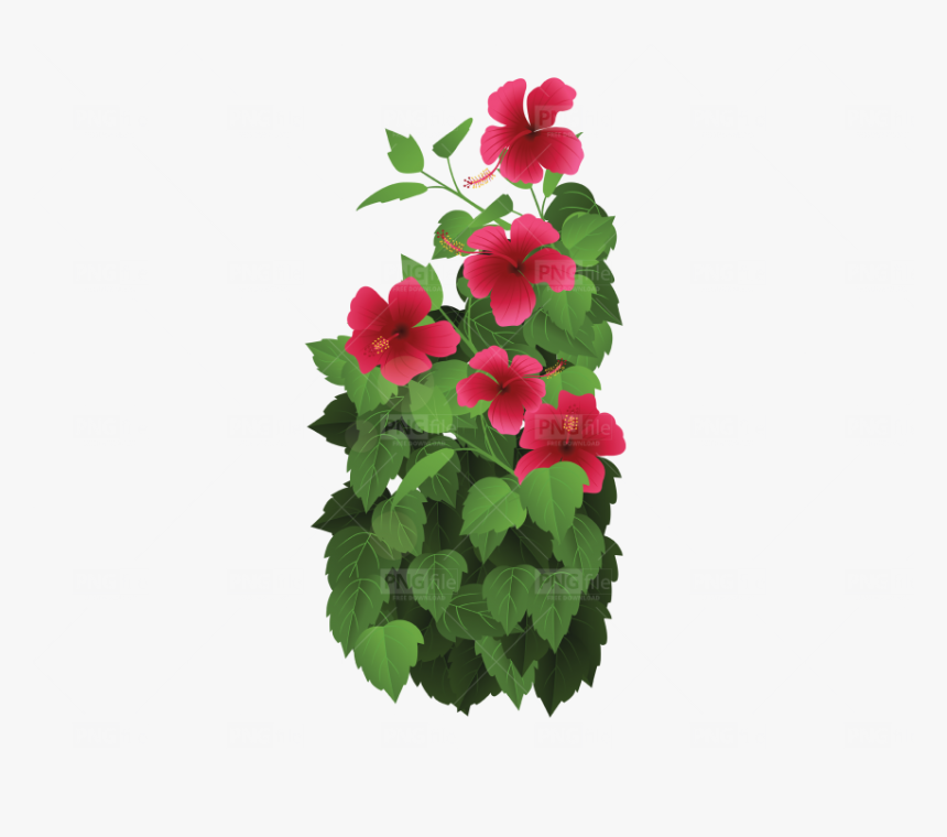 Tropical Rainforest Drawing Flowers Hd Png Download Kindpng