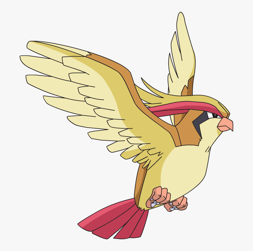 Pokemon Pidgeot, HD Png Download, Free Download