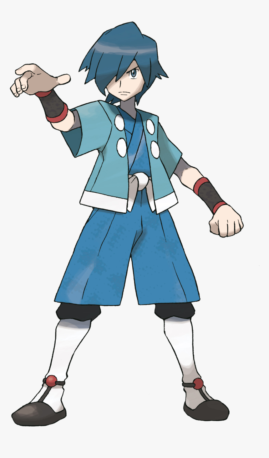 Falkner Pokemon, HD Png Download, Free Download