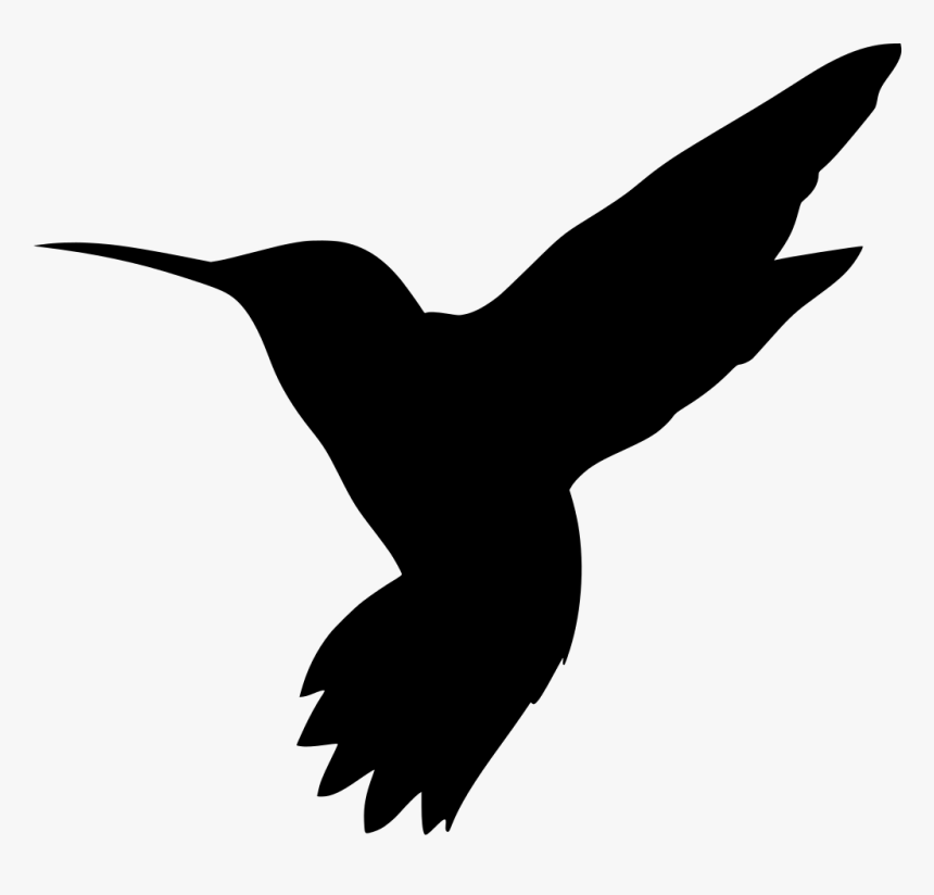 Hummingbird, HD Png Download, Free Download