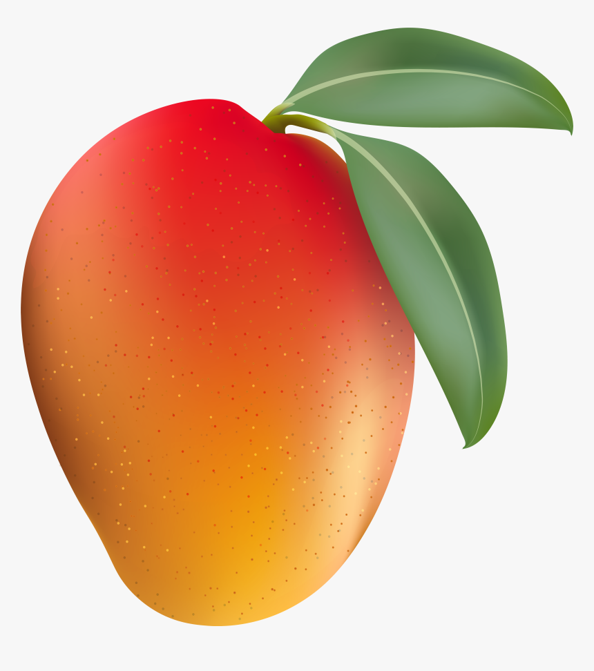 Transparent Mango Clipart, HD Png Download, Free Download