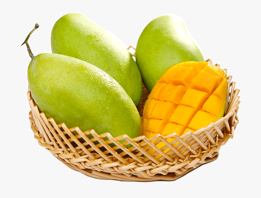 Mangifera Indica , Png Download - Catty, Transparent Png, Free Download