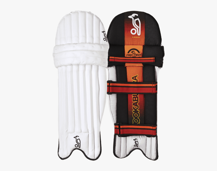 Cricket Gloves Png - Cricket, Transparent Png, Free Download