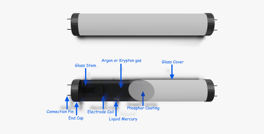 Construction Of Fluorescent Lamp - Cylinder, HD Png Download, Free Download