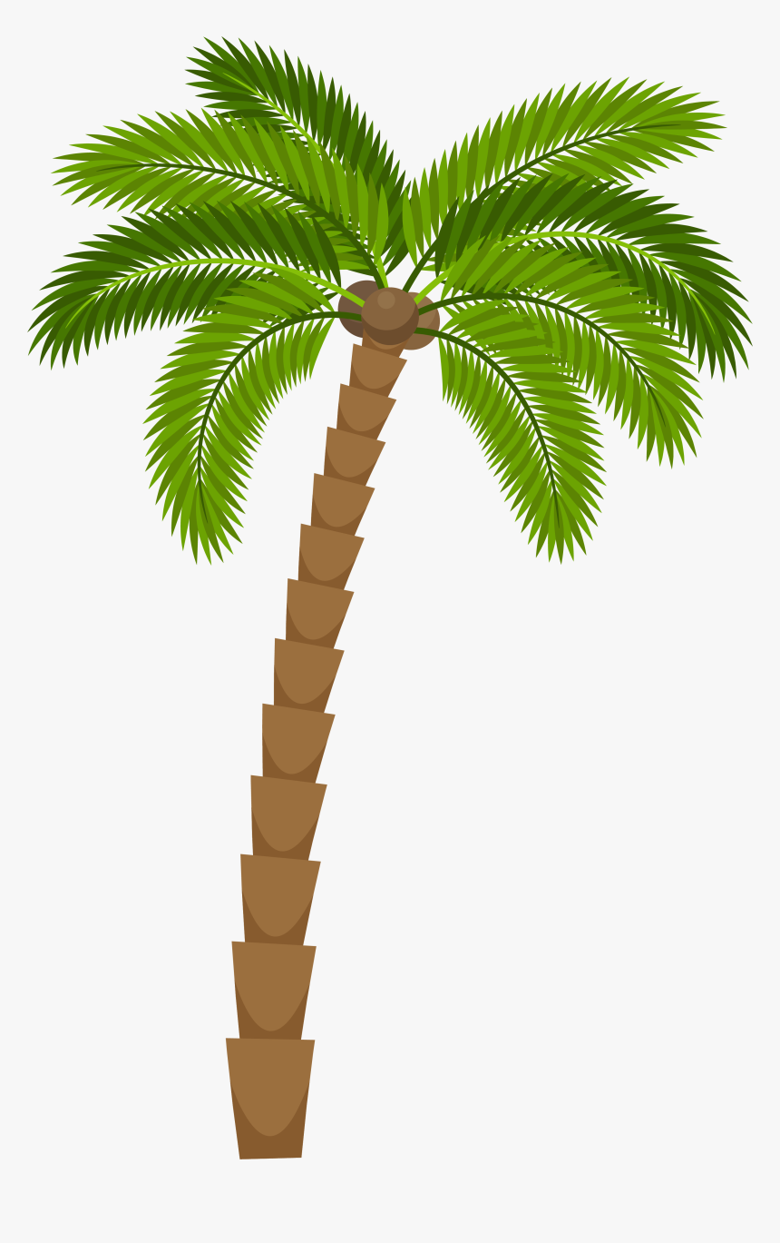 Drawing Silhouette Royalty-free Illustration - Coconut Tree Png Drawing, Transparent Png, Free Download