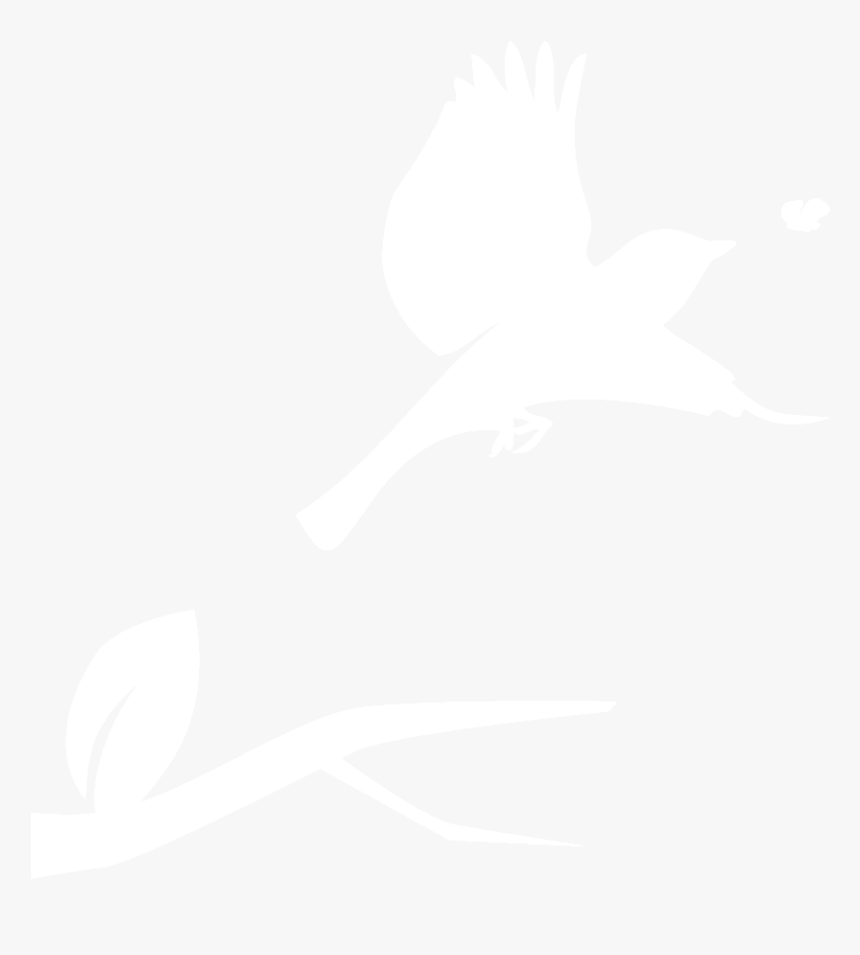 Black And White Fly Birds, HD Png Download, Free Download