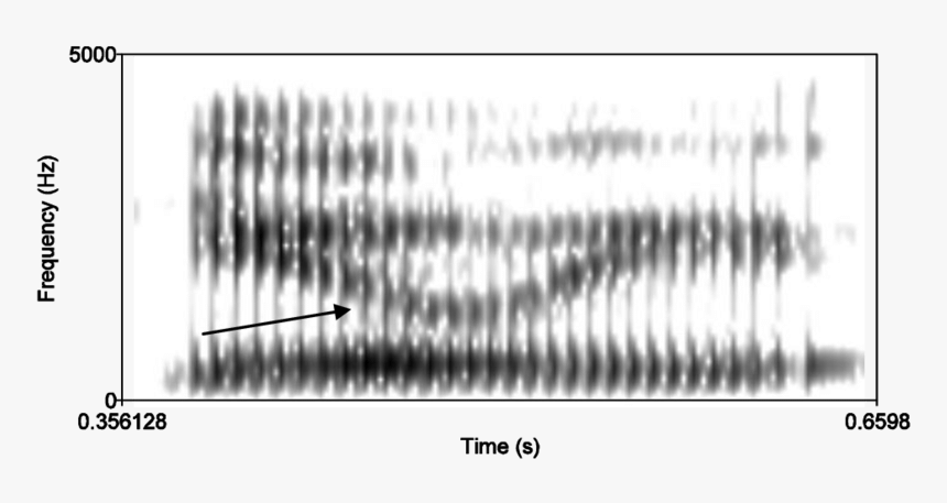 Spectrogram Of Glasgow Non Asian Male Saying Daily - Monochrome, HD Png Download, Free Download