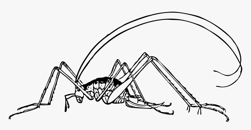 Line Art,angle,area - Cricket Clip Art, HD Png Download, Free Download