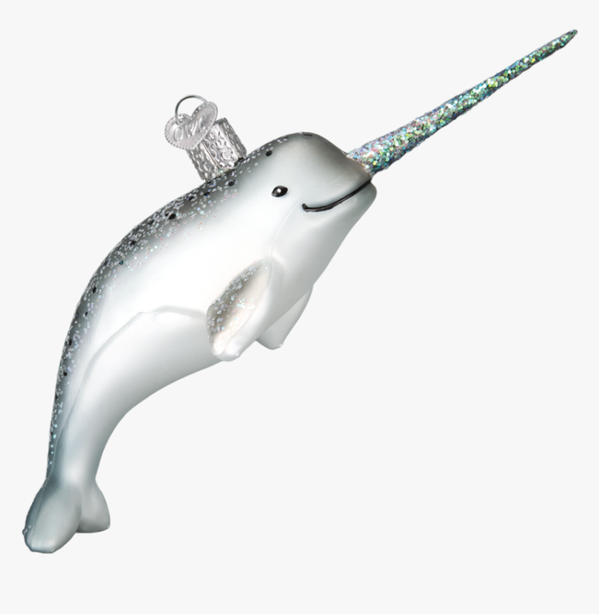 Bottlenose Dolphin, HD Png Download, Free Download