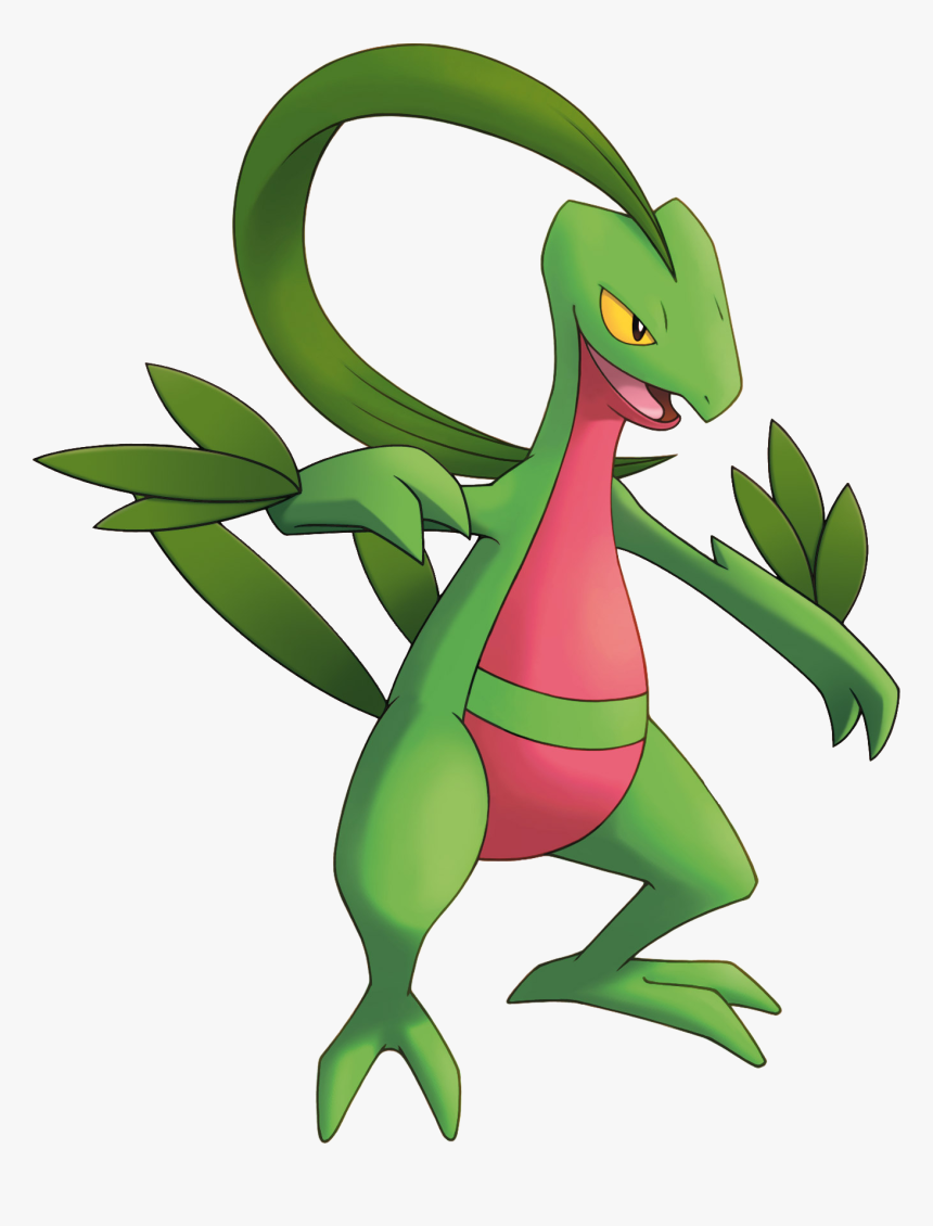 Grovyle Pokemon, HD Png Download, Free Download