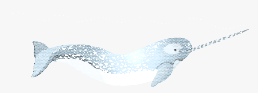 Cetacea, HD Png Download, Free Download