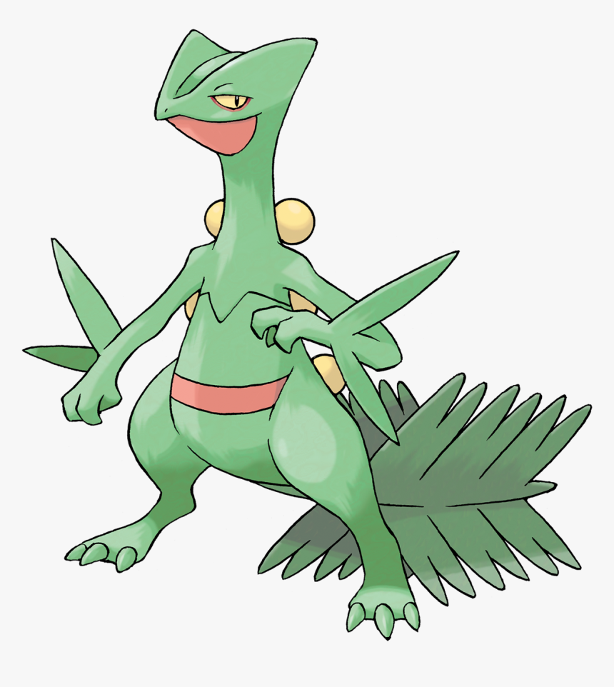 Sceptile Pokemon, HD Png Download, Free Download