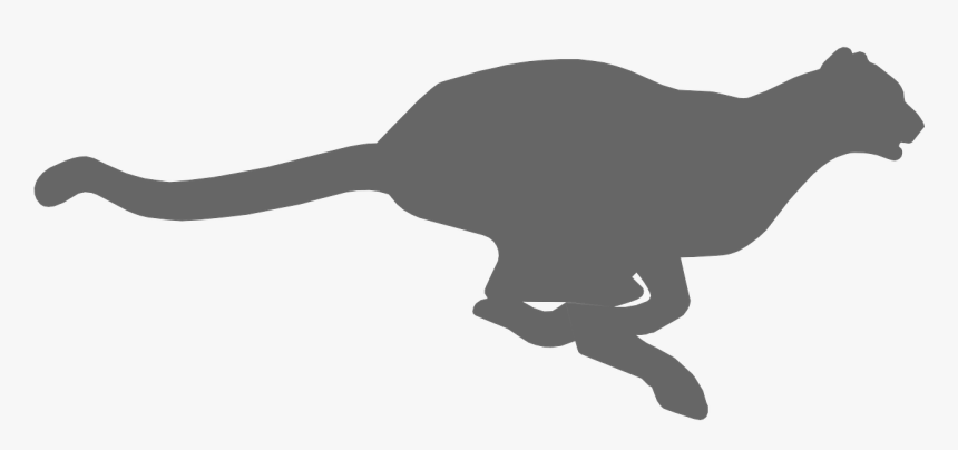 Cheetah Icon Png, Transparent Png, Free Download