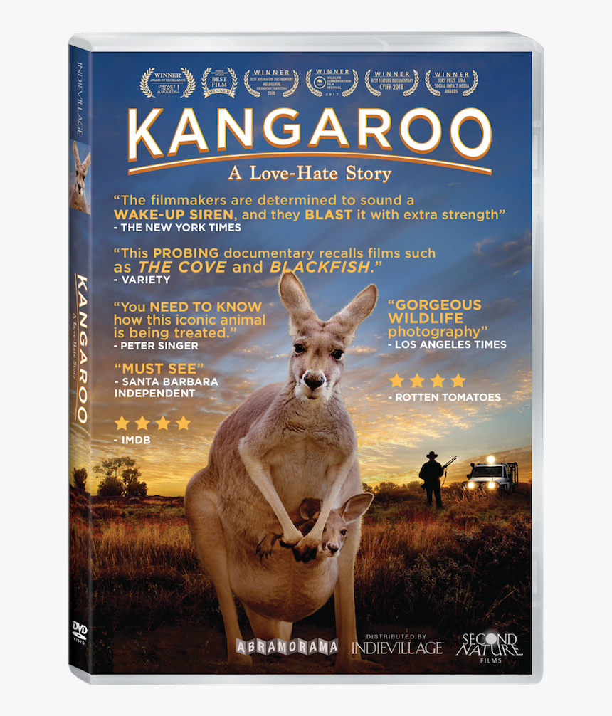 Kangaroo A Love Hate Story, HD Png Download, Free Download