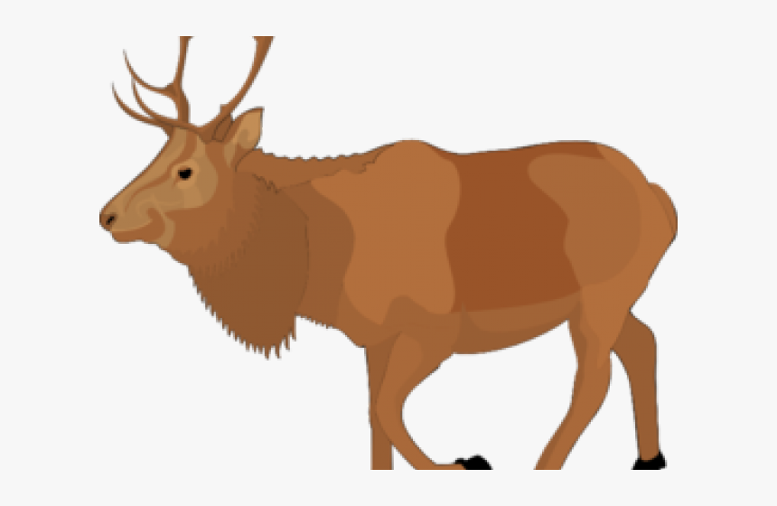 Transparent Moose Clipart - Elk Drawing Transparent, HD Png Download, Free Download