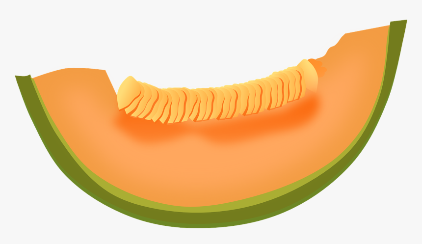 Melon Clipart, HD Png Download, Free Download