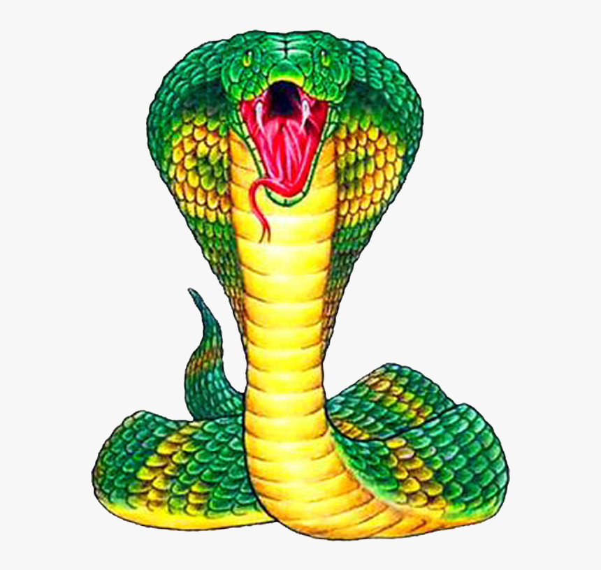 King Cobra Png Free Pic Snake Front View Drawing, Transparent Png