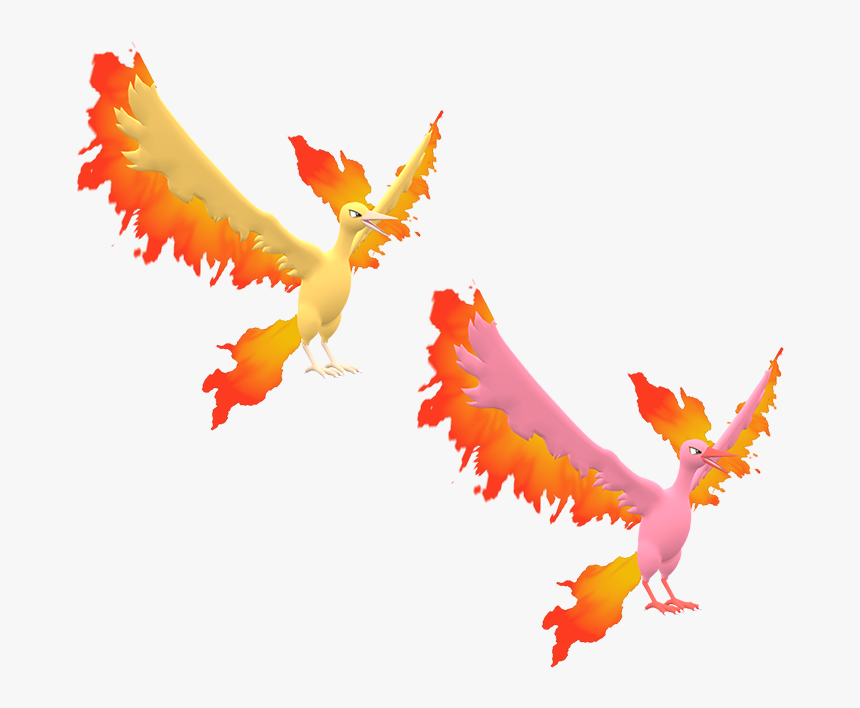 Download Zip Archive Pokemon Moltres 3d Model Hd Png Download Kindpng