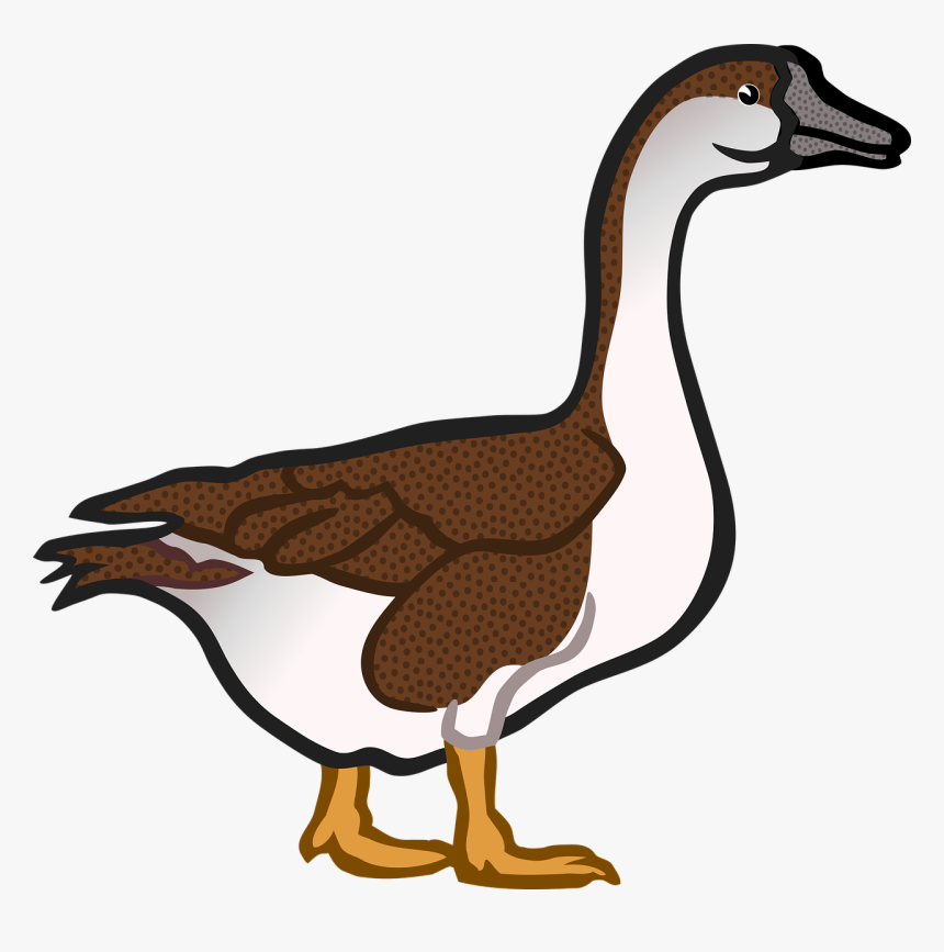 singular-and-plural-duck-hd-png-download-kindpng