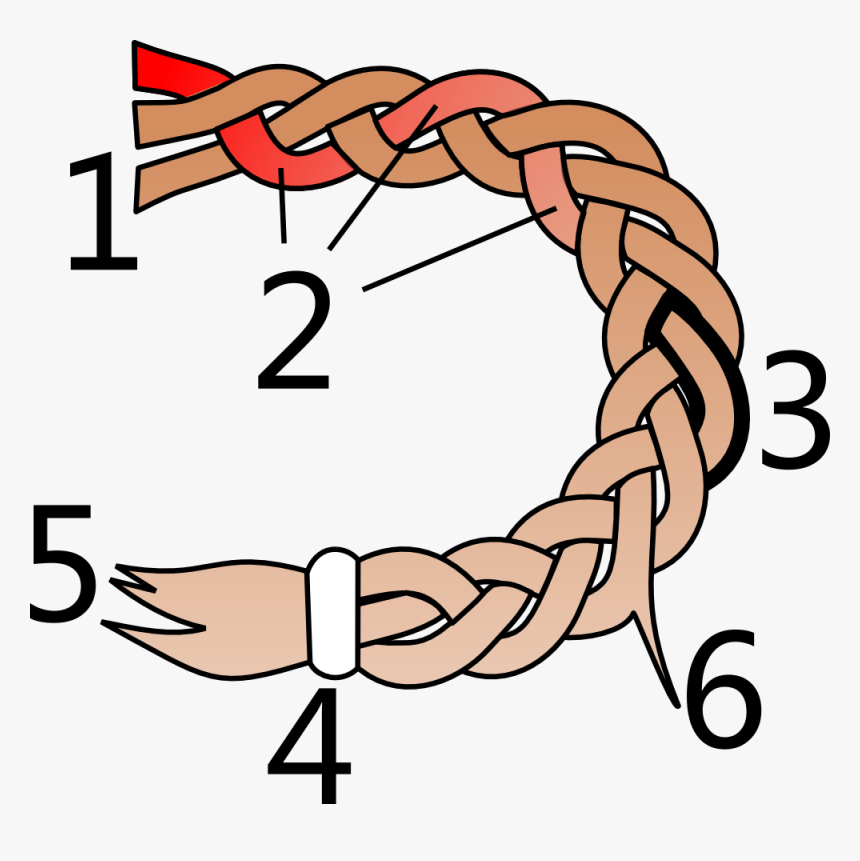 Parts Of A Hair Braid Parts Of A Braid, HD Png Download kindpng