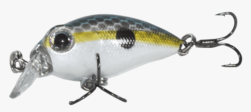 American Gizzard Shad, HD Png Download, Free Download