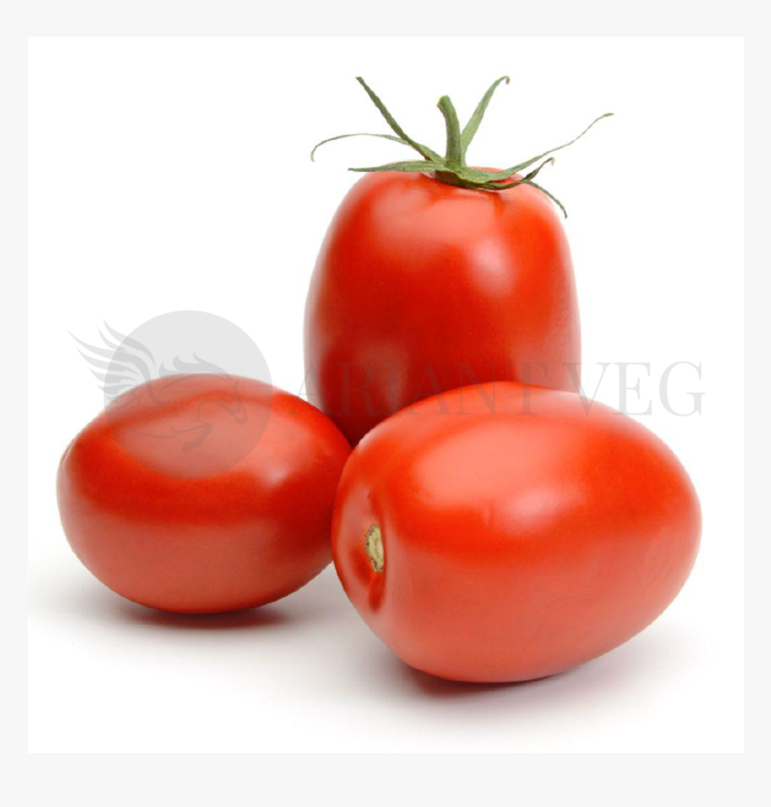 Tomato Plant Png, Transparent Png, Free Download