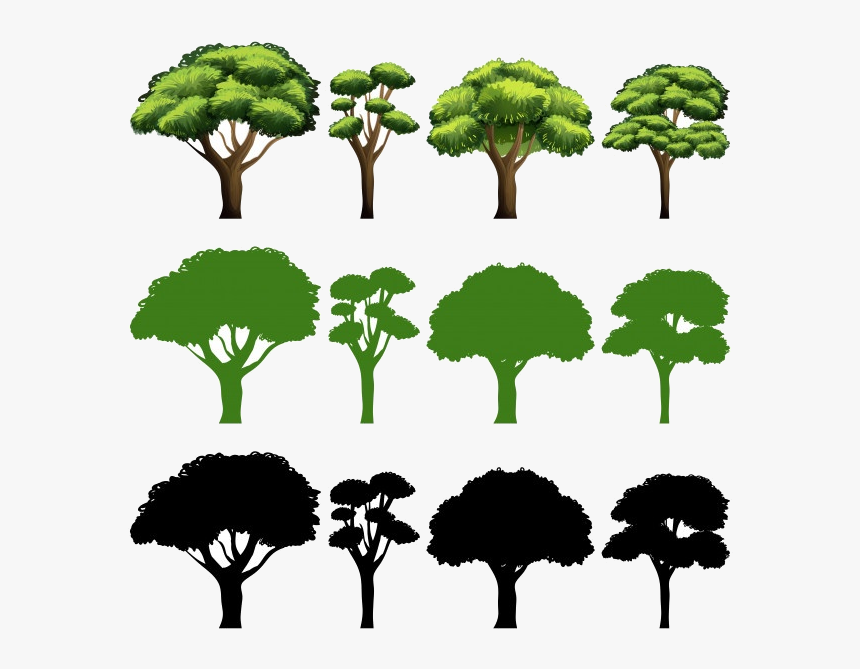 Safari Trees Tree Silhouette Vectors Photos And Psd - Arvore Vetor, HD Png Download, Free Download