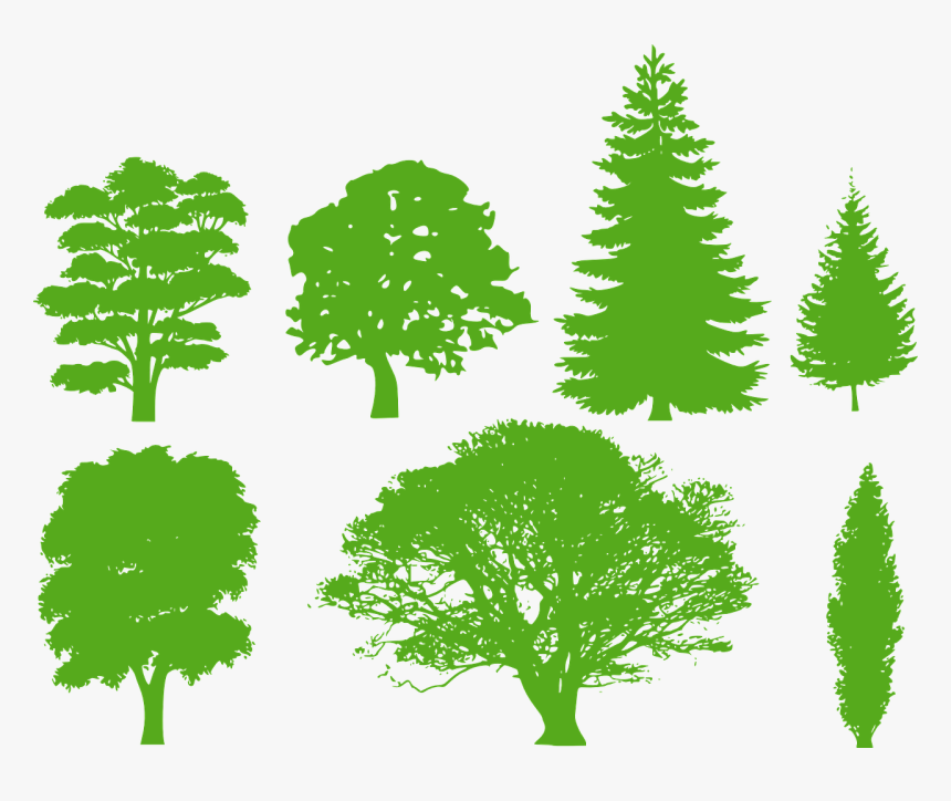 green tree silhouette png transparent png kindpng green tree silhouette png transparent