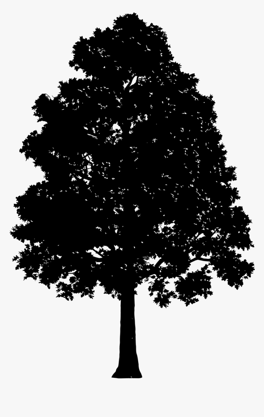 Tree Landscape Plant Free Picture - Silhouettes Of Tree, HD Png Download, Free Download