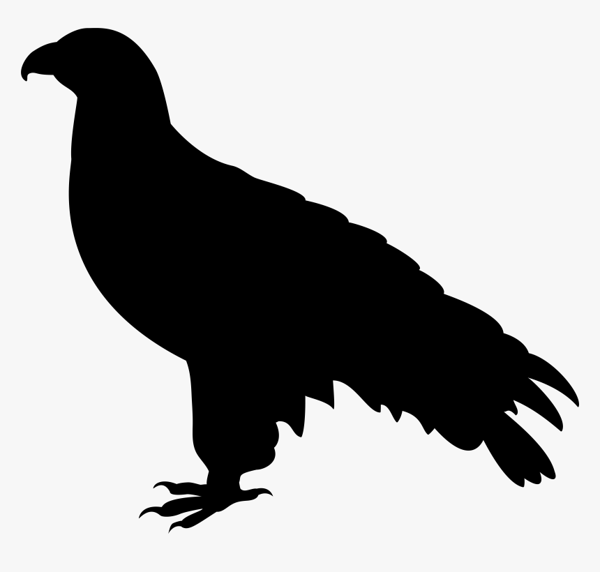 Eagle Silhouette Png, Transparent Png, Free Download