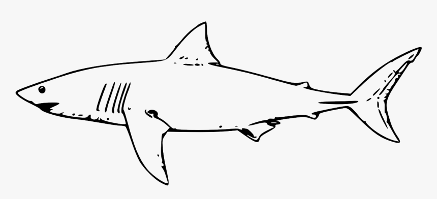 Shark Black And White, HD Png Download, Free Download