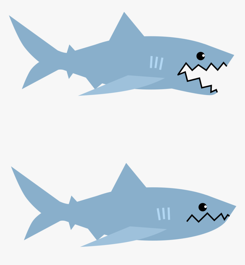 Great White Shark , Png Download - Squaliformes, Transparent Png, Free Download