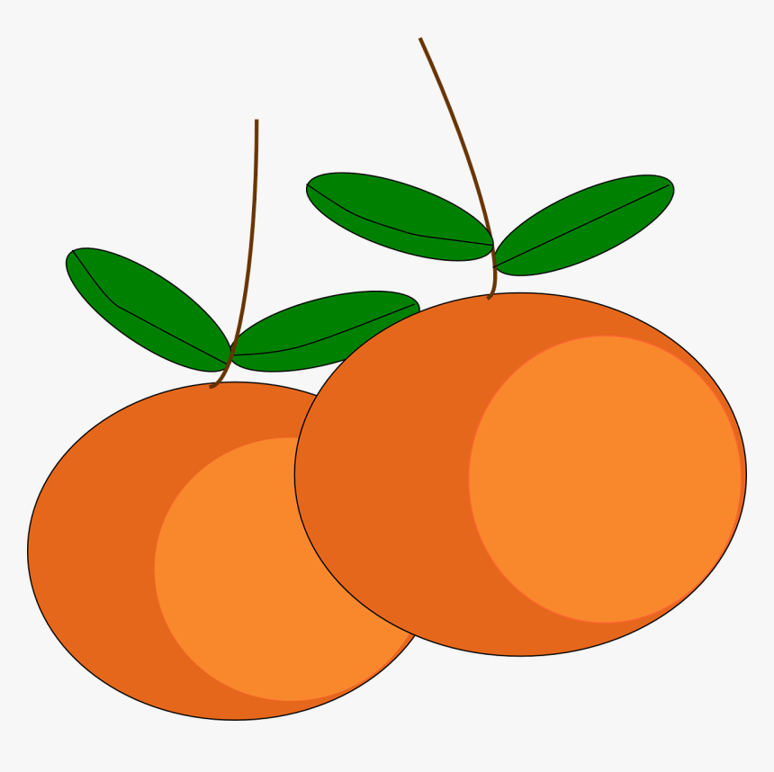 Cartoon Mandarin Orange Png, Transparent Png, Free Download