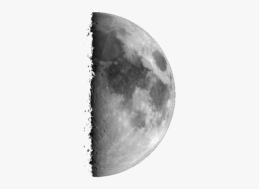 First Quarter Moon Png, Transparent Png, Free Download