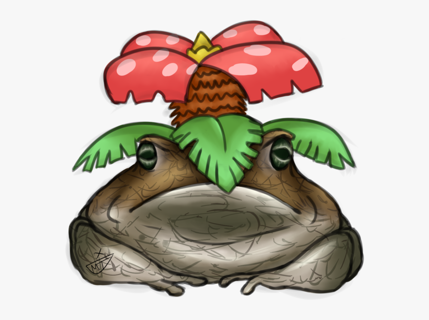 Venusaur A Toad Pokemon, HD Png Download, Free Download