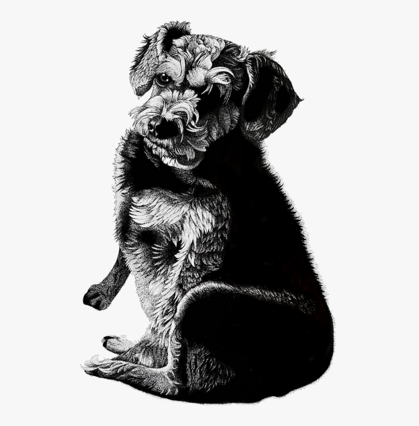 Dog Pen And Ink Portrait, HD Png Download, Free Download