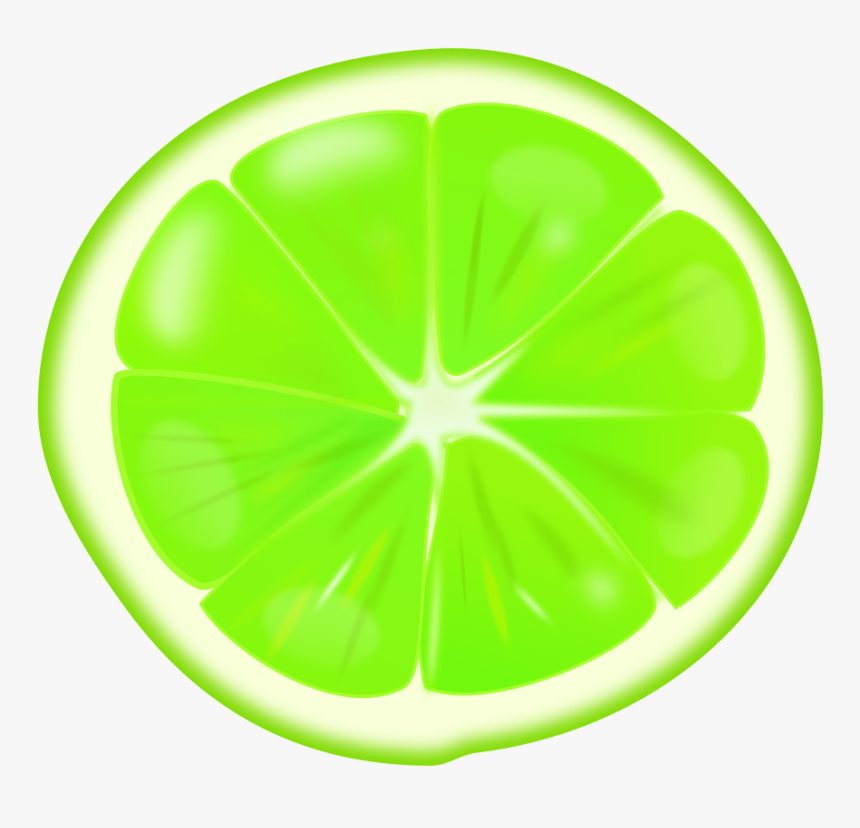 Lime Slice - Circle, HD Png Download, Free Download