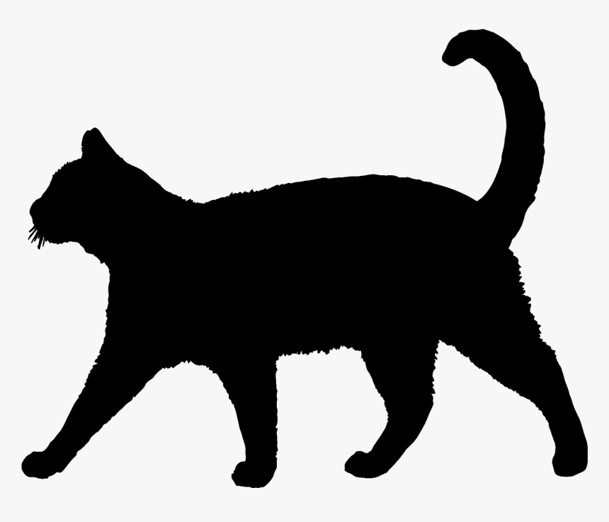 Cat Silhouette, HD Png Download, Free Download